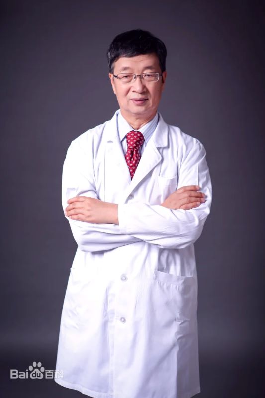 无法加载